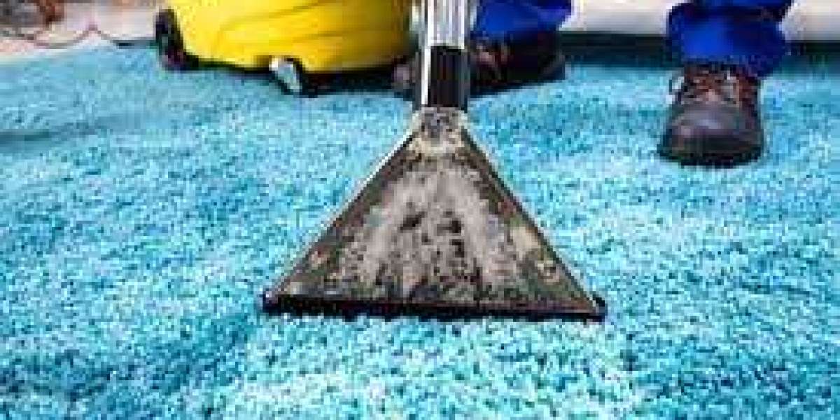 Journey into Cleanliness with Professional Carpet Cleaning Services