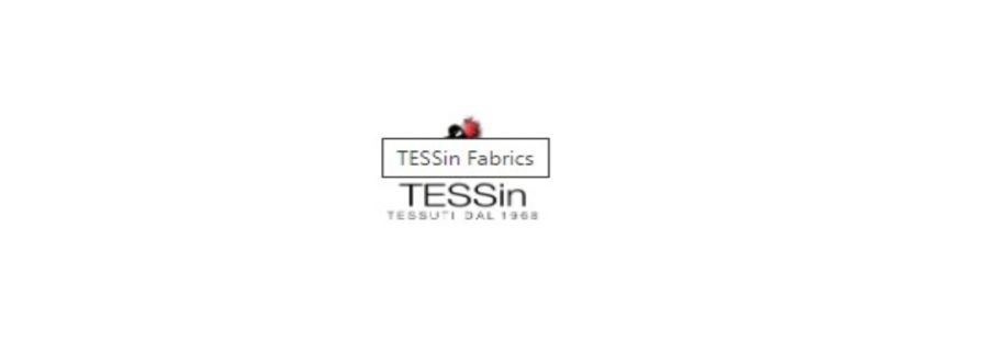 TESSin TESSin Cover Image