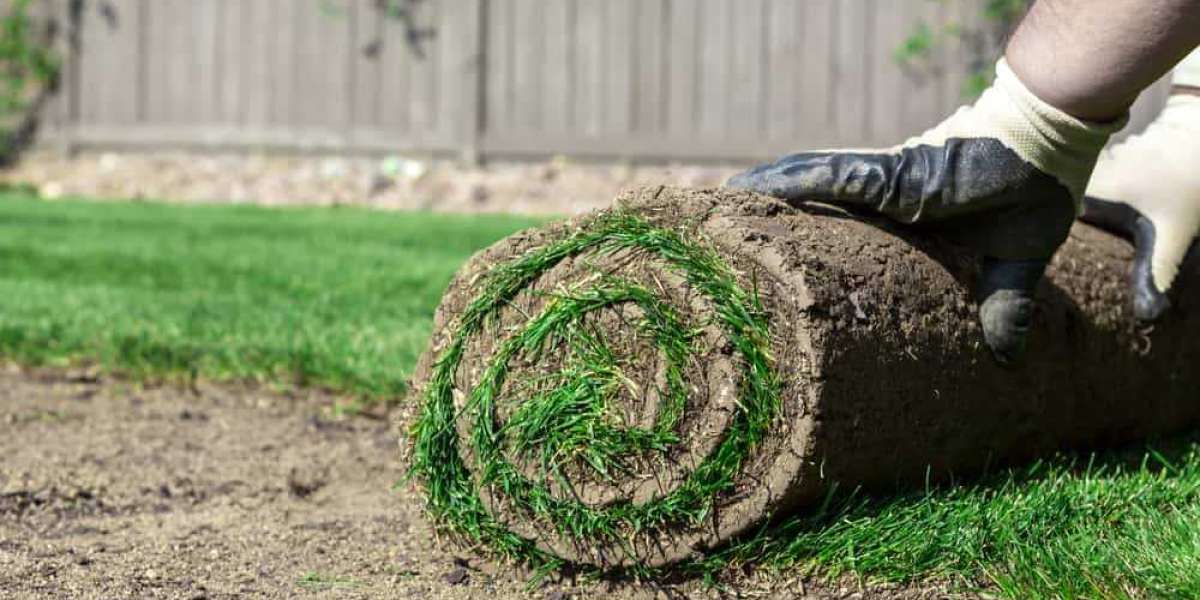 Transform Your Lawn with Robert's Complete Care: Expert Sod Installation in Los Angele