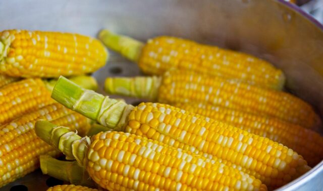 pop corn, yellow, popcorn, food, nutrition, eat, ingredient, corn, corn, corn, corn, corn, corn