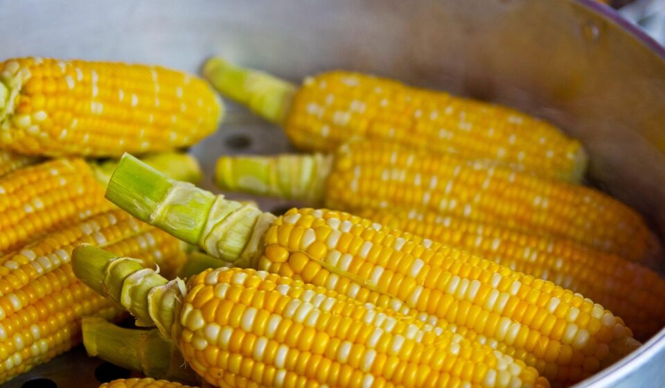 pop corn, yellow, popcorn, food, nutrition, eat, ingredient, corn, corn, corn, corn, corn, corn