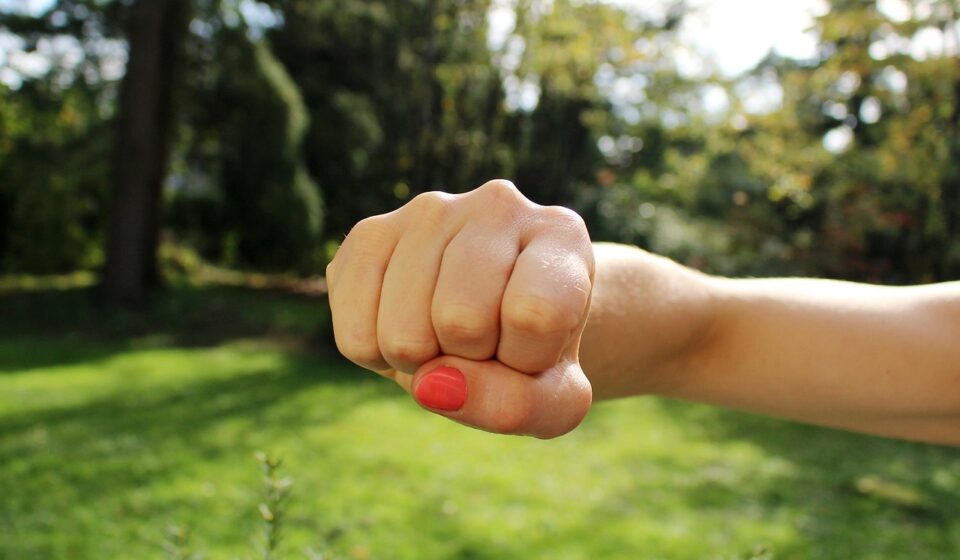 fist bump, anger, hand, aggression, strength, strong, punch, power, bump, fist, angry, explosion, protest, human, arm, fight, dramatic, gesture, attack, force, hit, green angry, green human, green power
