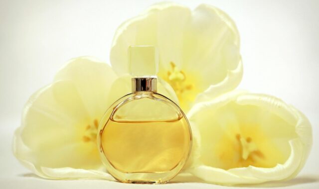 perfume, smell, bottle, scent, yellow, chanel, freshness, warm, cosmetics, tulip, chanel, chanel, chanel, chanel, chanel
