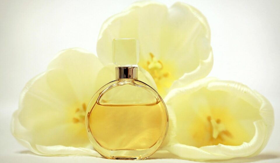 perfume, smell, bottle, scent, yellow, chanel, freshness, warm, cosmetics, tulip, chanel, chanel, chanel, chanel, chanel