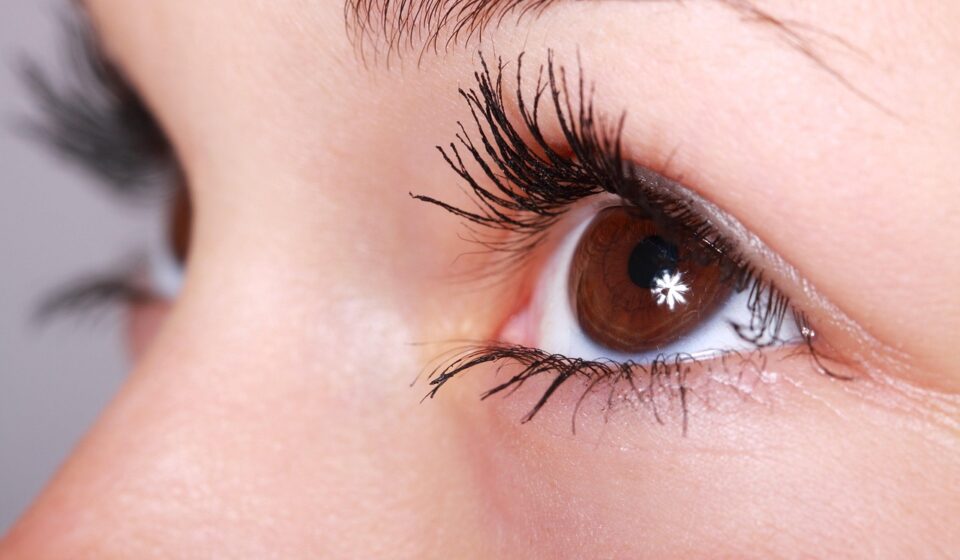 woman, beauty, eyelashes, eye, makeup, mascara, beautiful, female, girl, closeup, eye, eye, eye, eye, eye