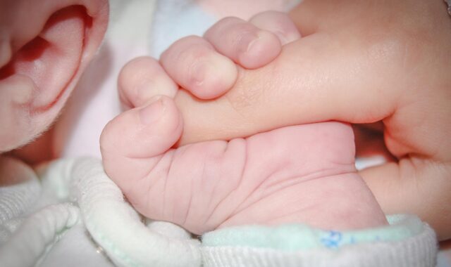 baby, hand, hold, infant, holding, tiny, child, tenderness, closeup, baby, baby, baby, baby, baby