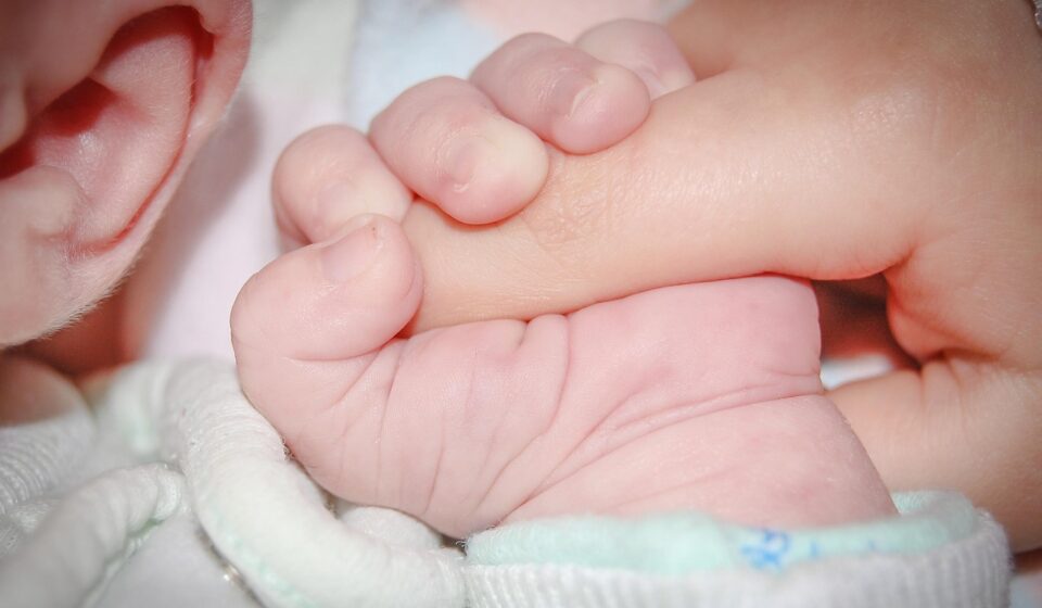 baby, hand, hold, infant, holding, tiny, child, tenderness, closeup, baby, baby, baby, baby, baby