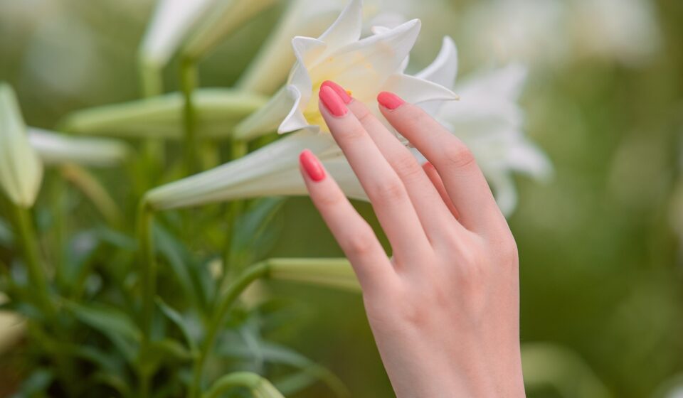 flowers, hand, flower wallpaper, nails, beautiful, bloom, flower background, blossom, nature, beautiful flowers, plant, petals, closeup