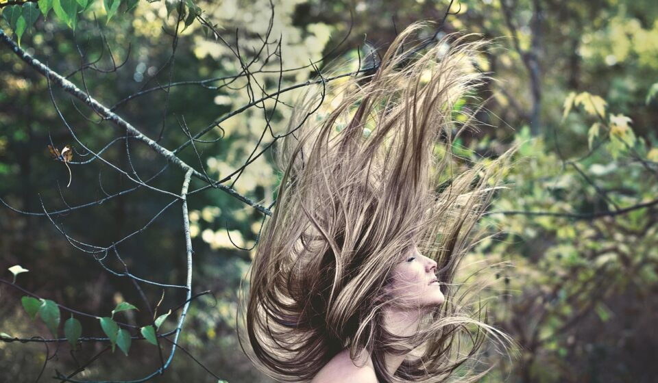 hair, flip, female, model, woman, long hair, hairstyle, brunette, hair flip, motion, action, young woman, portrait, hair, hair, hair, hair, hair, long hair, long hair, long hair, long hair, action
