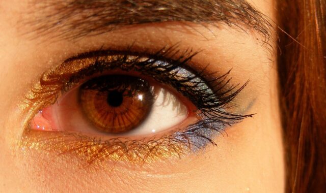 goat, brown eyes, iris, genes, the light, eyes, brown, colored, yellow, goat, brown eyes, brown eyes, brown eyes, brown eyes, brown eyes