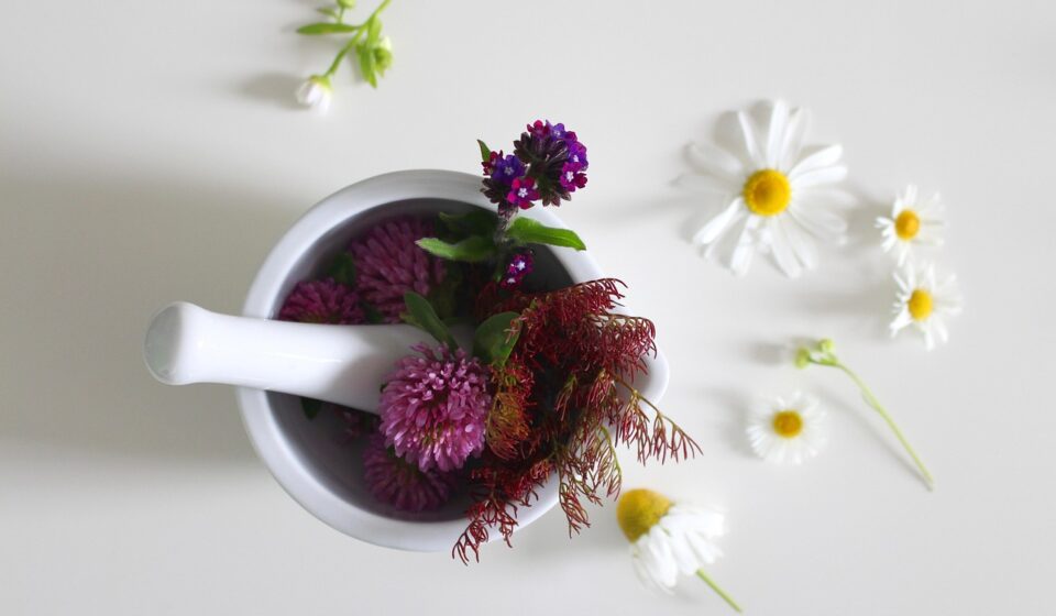 medicinal flower, remedies, ointment, flower wallpaper, cream, spa, wellness, beautiful flowers, maintenance, beauty, cosmetics, skin care, green, flower background, bio, nature, face, healthy, personal hygiene, face mask, relax, naturally, mask, product, fresh, flower, mortar, daisy, natural remedies