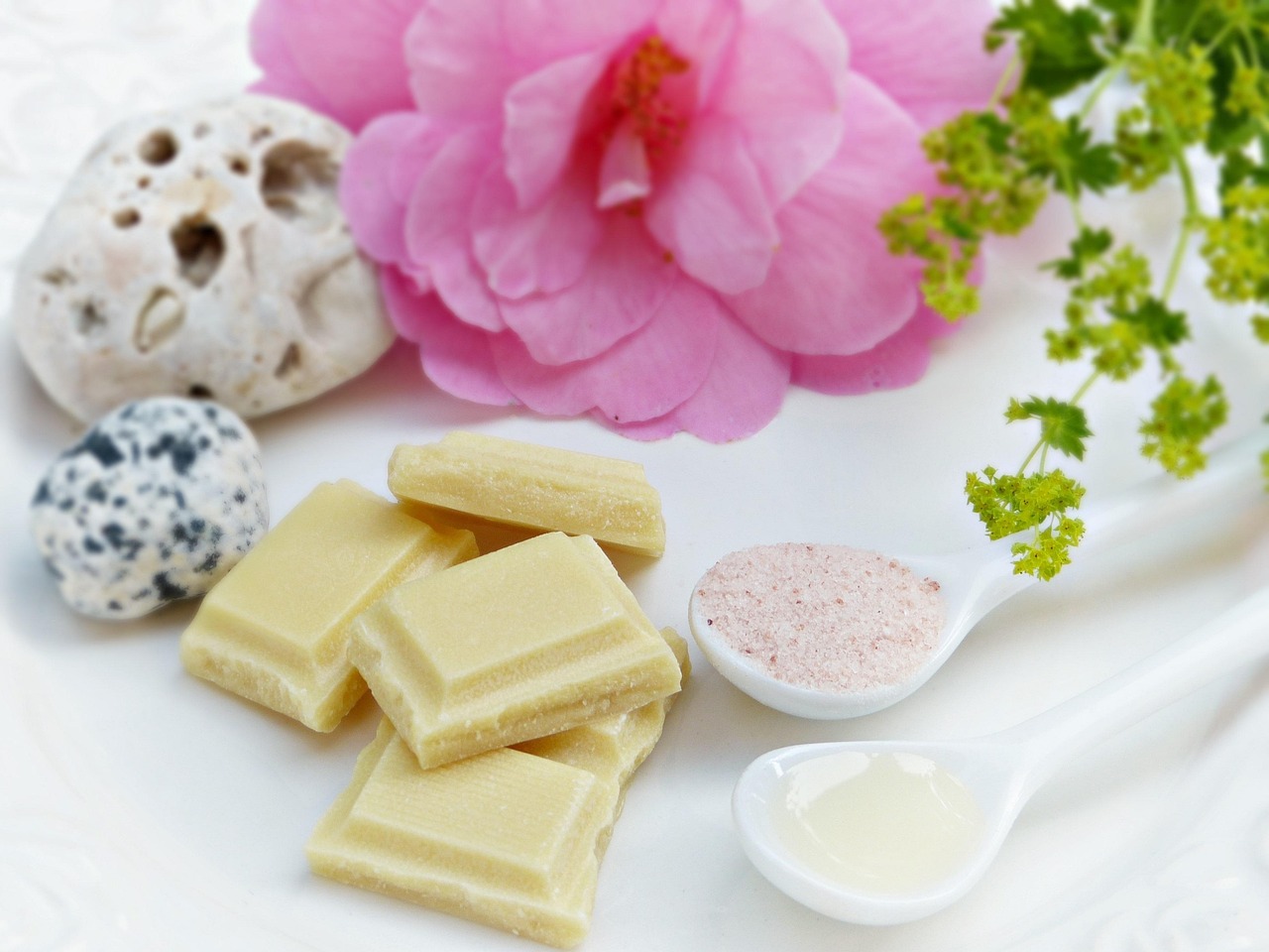 cocoa butter, salt, oil, camellia, blossom, bloom, peeling, wellness, spa, personal hygiene, cosmetics, skin, maintain, beauty, essential oils, aromatherapy, naturally, to bathe, relax, greeting card, invitation, natural cosmetics, cocoa butter, cocoa butter, cocoa butter, cocoa butter, cocoa butter, peeling