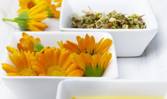 bowls, oil, marigold, calendula, blossoms, herbs, tea, diy, jojoba oil, naturopathy, orange, cosmetics, beauty, skin, skin care, to bathe, wellness, aromatherapy, essential oils, fragrance, medicinal plant, homeopathy, close up, marigold, marigold, marigold, marigold, calendula, calendula, calendula, calendula, calendula, skin care, skin care, skin care, homeopathy, homeopathy