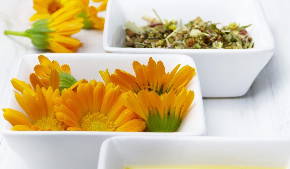 bowls, oil, marigold, calendula, blossoms, herbs, tea, diy, jojoba oil, naturopathy, orange, cosmetics, beauty, skin, skin care, to bathe, wellness, aromatherapy, essential oils, fragrance, medicinal plant, homeopathy, close up, marigold, marigold, marigold, marigold, calendula, calendula, calendula, calendula, calendula, skin care, skin care, skin care, homeopathy, homeopathy