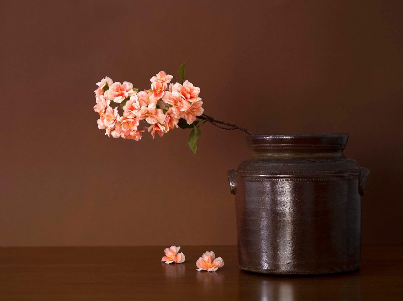 flowers, blossoms, flower wallpaper, bloom, flora, still life, vintage, nature, beautiful flowers, pot, vase, reflections, flower background, brown