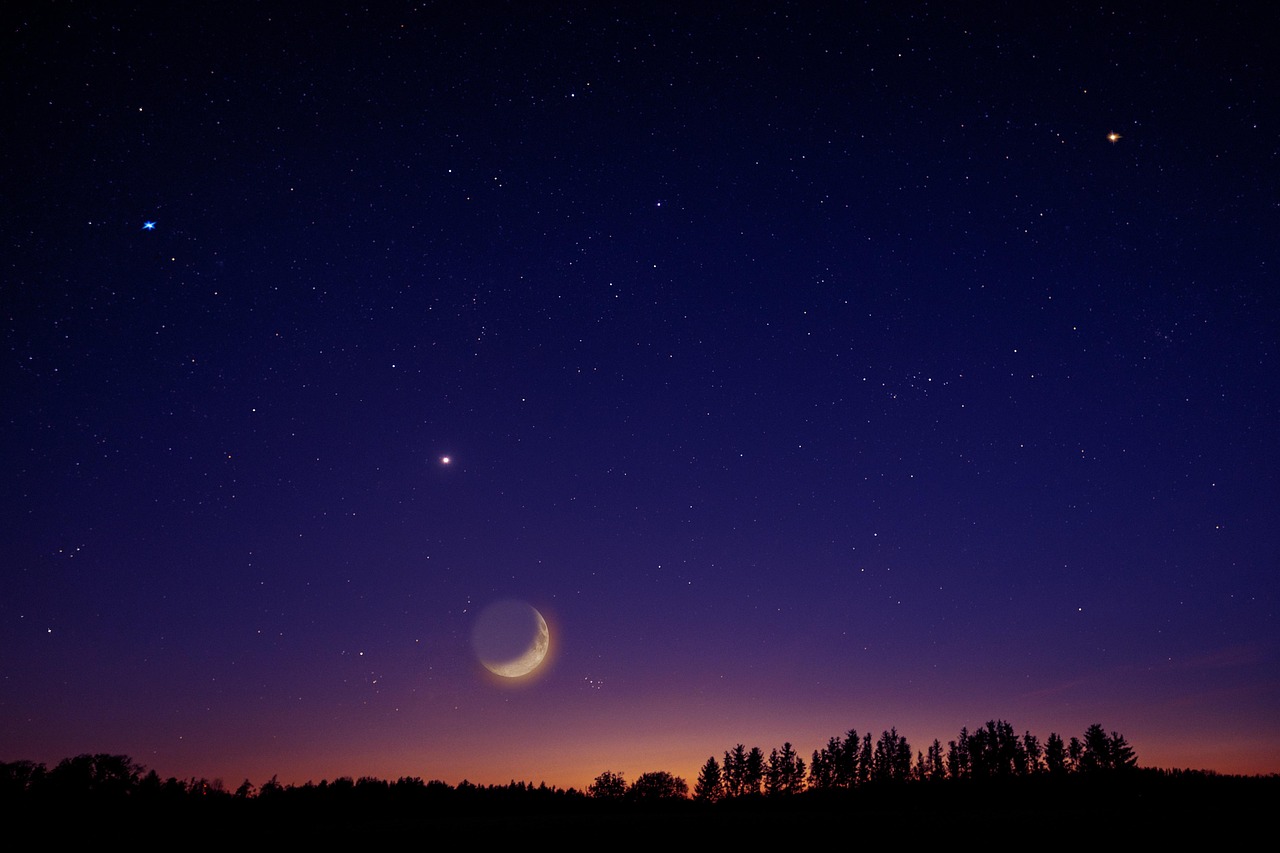 heaven, stars, moon, venus, universe, nature, night, night sky, trees